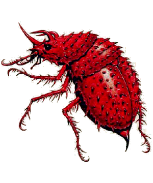 Beetle, Dragon