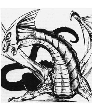 Dragon, General Information