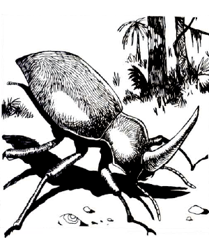 \Giant Rhinozeros Beetle