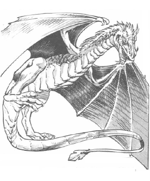 Dragon (Oerth), Greyhawk