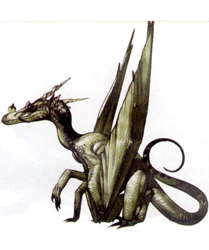 Dragonet, Crow's-nest Dragon