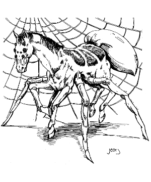Horse, Spider-