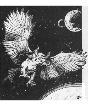 Owl, Space