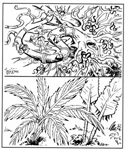 Plant, Carnivorous (Athas)