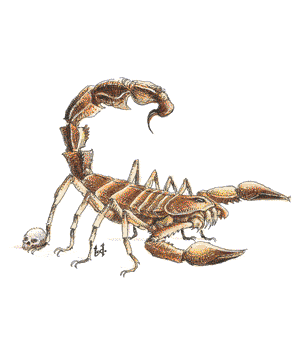 Scorpion