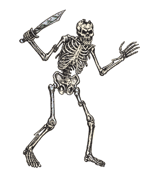 Skeleton