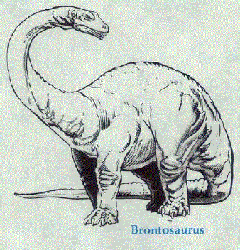 Brachiosaurus
