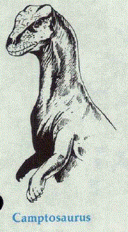 Camptosaurus