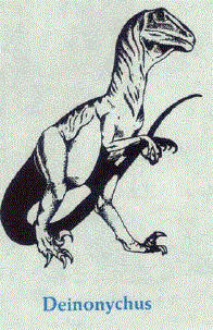Deinonychus