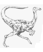 Struthiomimus