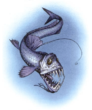 Viperfish