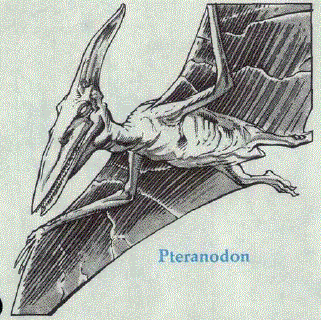 Pteranodon