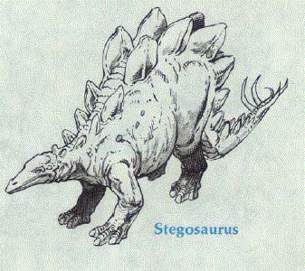Stegosaurus