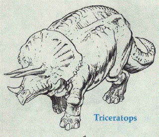 Triceratops